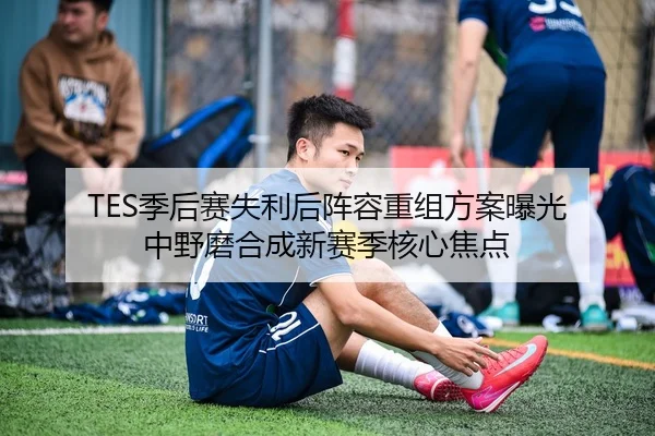 TES季后赛失利后阵容重组方案曝光 中野磨合成新赛季核心焦点